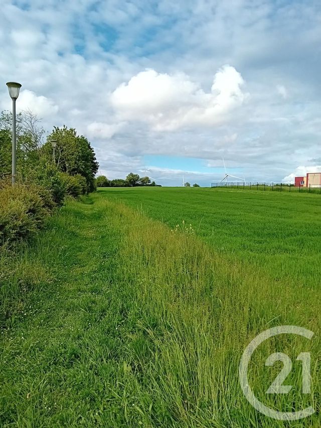 terrain à vendre - 3500.0 m2 - ST QUENTIN - 02 - PICARDIE - Century 21 Faubourg D'Isle