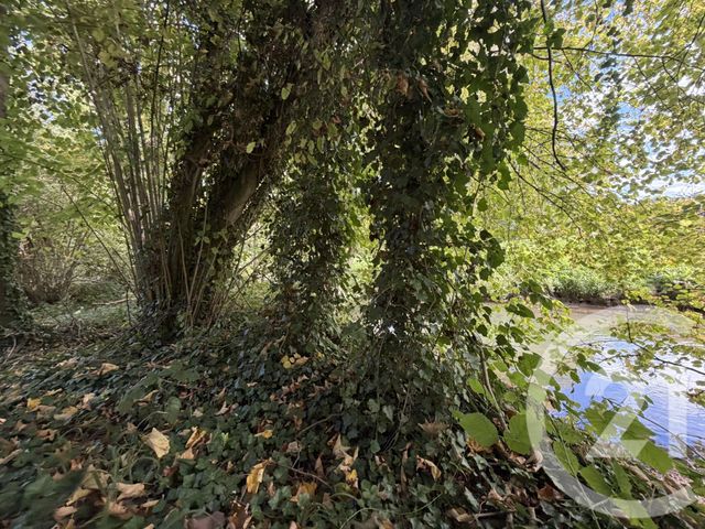 terrain à vendre - 10000.0 m2 - PERONNE - 80 - PICARDIE - Century 21 Faubourg D'Isle