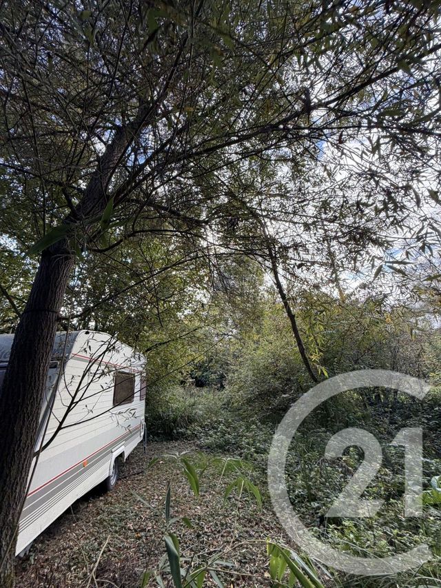 terrain à vendre - 10000.0 m2 - PERONNE - 80 - PICARDIE - Century 21 Faubourg D'Isle