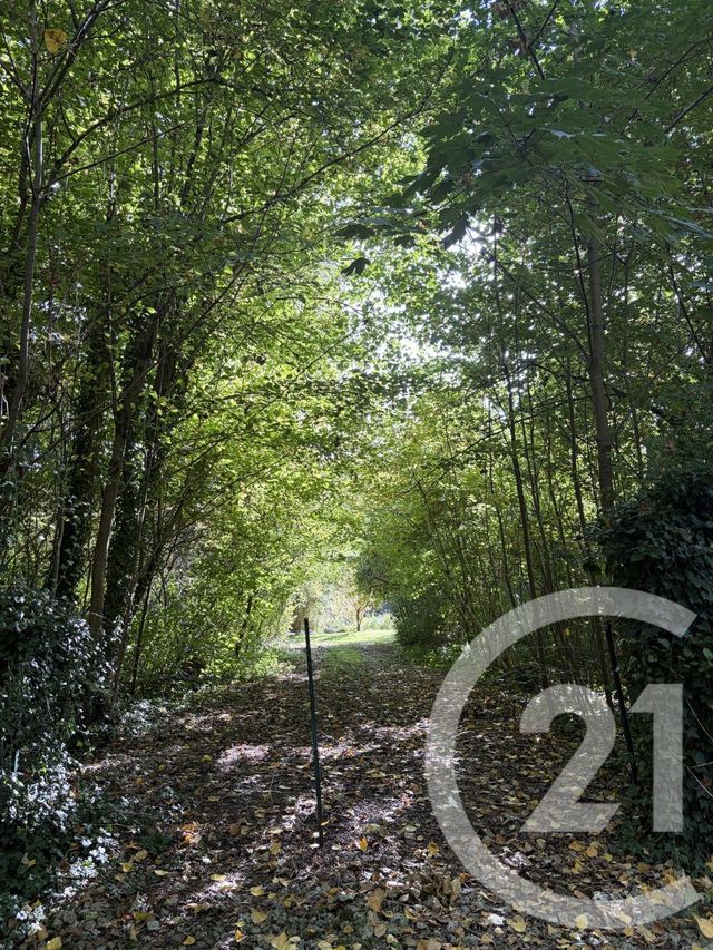 terrain à vendre - 10000.0 m2 - PERONNE - 80 - PICARDIE - Century 21 Faubourg D'Isle