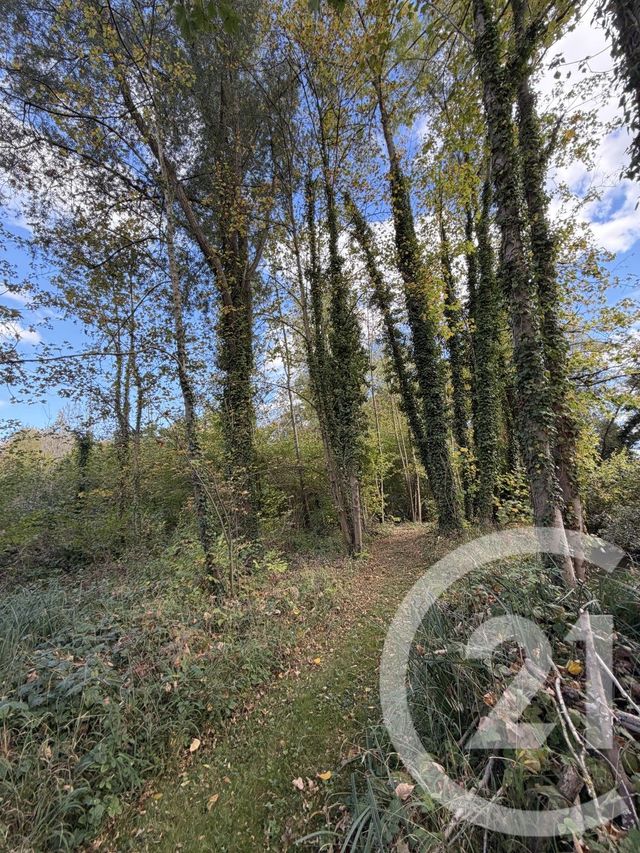 terrain à vendre - 10000.0 m2 - PERONNE - 80 - PICARDIE - Century 21 Faubourg D'Isle