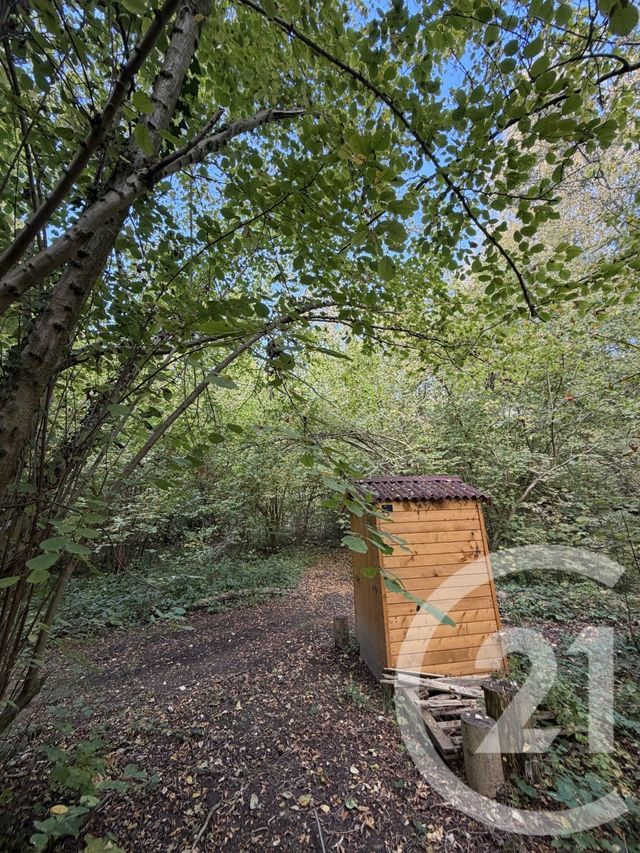 terrain à vendre - 10000.0 m2 - PERONNE - 80 - PICARDIE - Century 21 Faubourg D'Isle