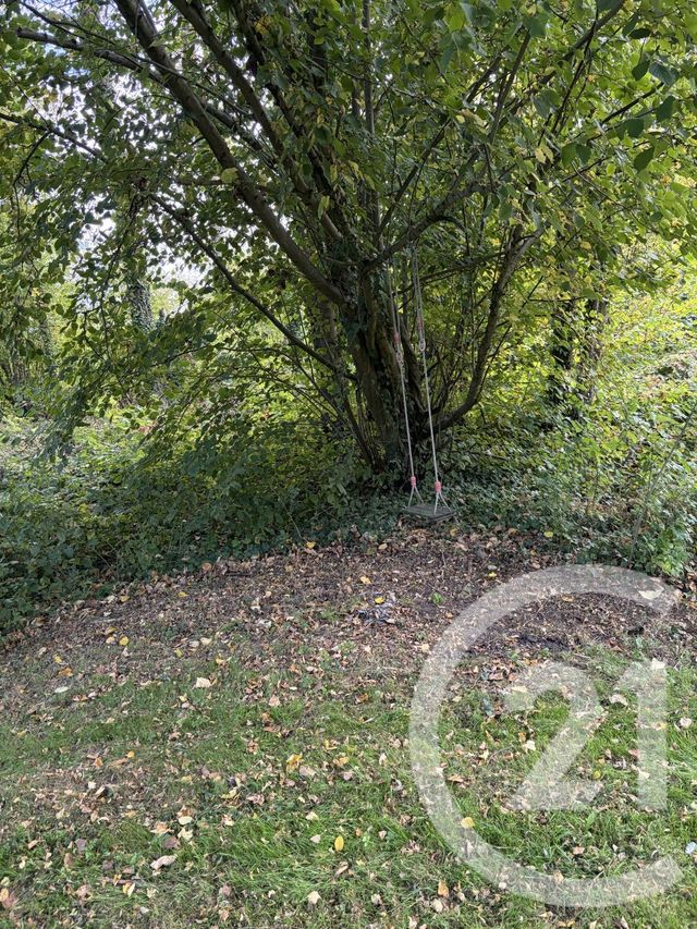 terrain à vendre - 10000.0 m2 - PERONNE - 80 - PICARDIE - Century 21 Faubourg D'Isle