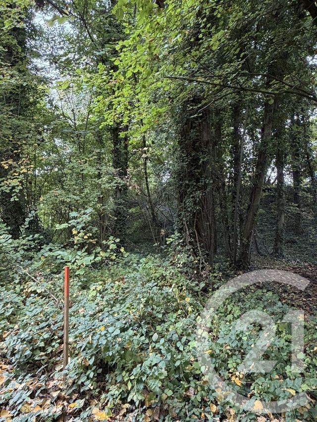 terrain à vendre - 10000.0 m2 - PERONNE - 80 - PICARDIE - Century 21 Faubourg D'Isle