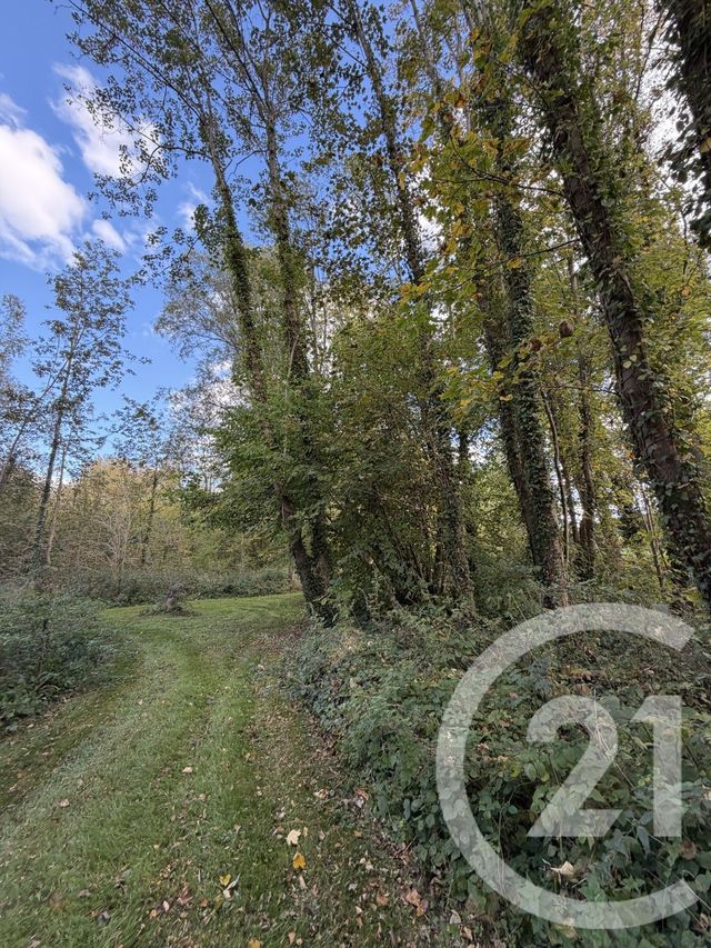 terrain à vendre - 10000.0 m2 - PERONNE - 80 - PICARDIE - Century 21 Faubourg D'Isle