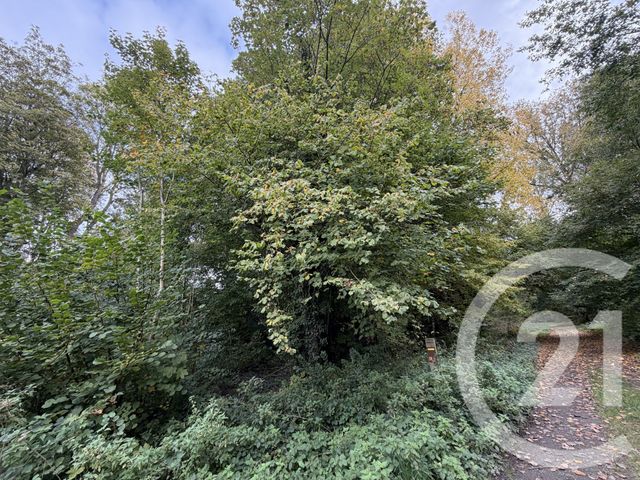 terrain à vendre - 10000.0 m2 - PERONNE - 80 - PICARDIE - Century 21 Faubourg D'Isle