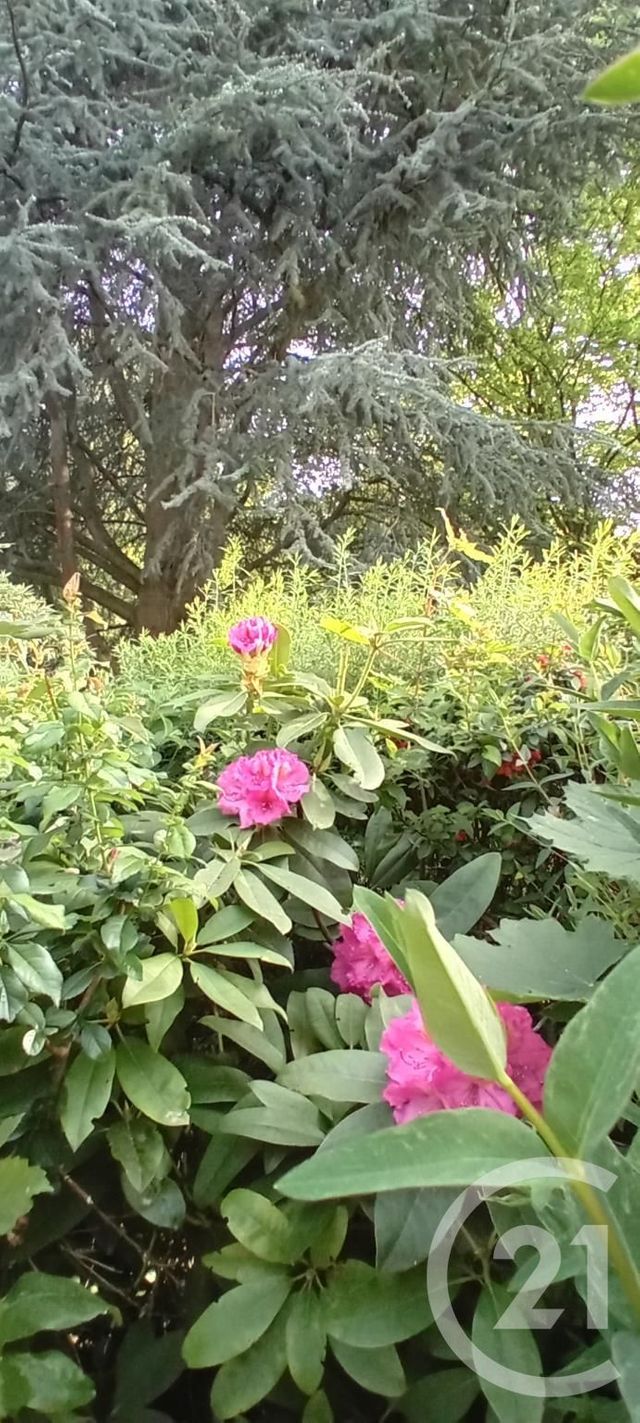 maison à vendre - 10 pièces - 246.0 m2 - ESTREES DENIECOURT - 80 - PICARDIE - Century 21 Faubourg D'Isle