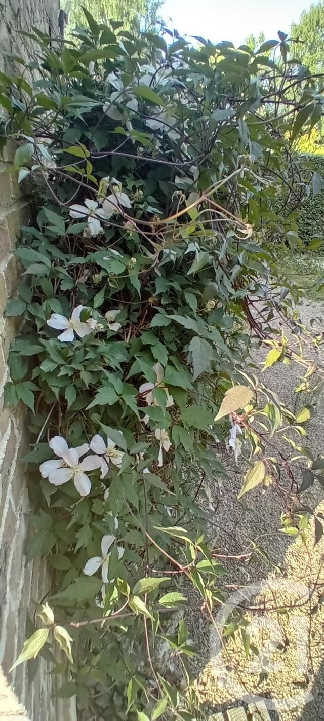 maison à vendre - 10 pièces - 246.0 m2 - ESTREES DENIECOURT - 80 - PICARDIE - Century 21 Faubourg D'Isle